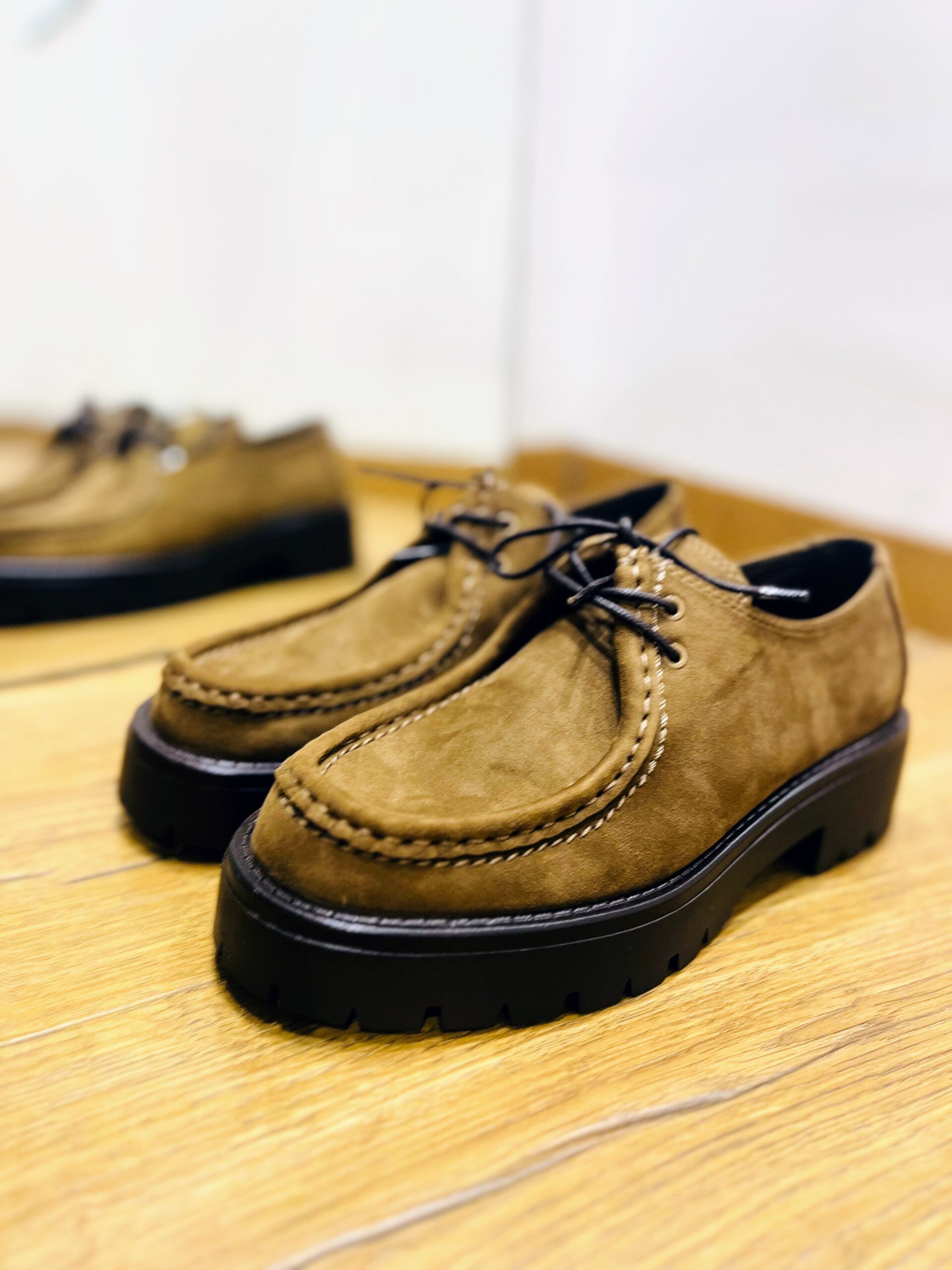 Derbies camel CORINA