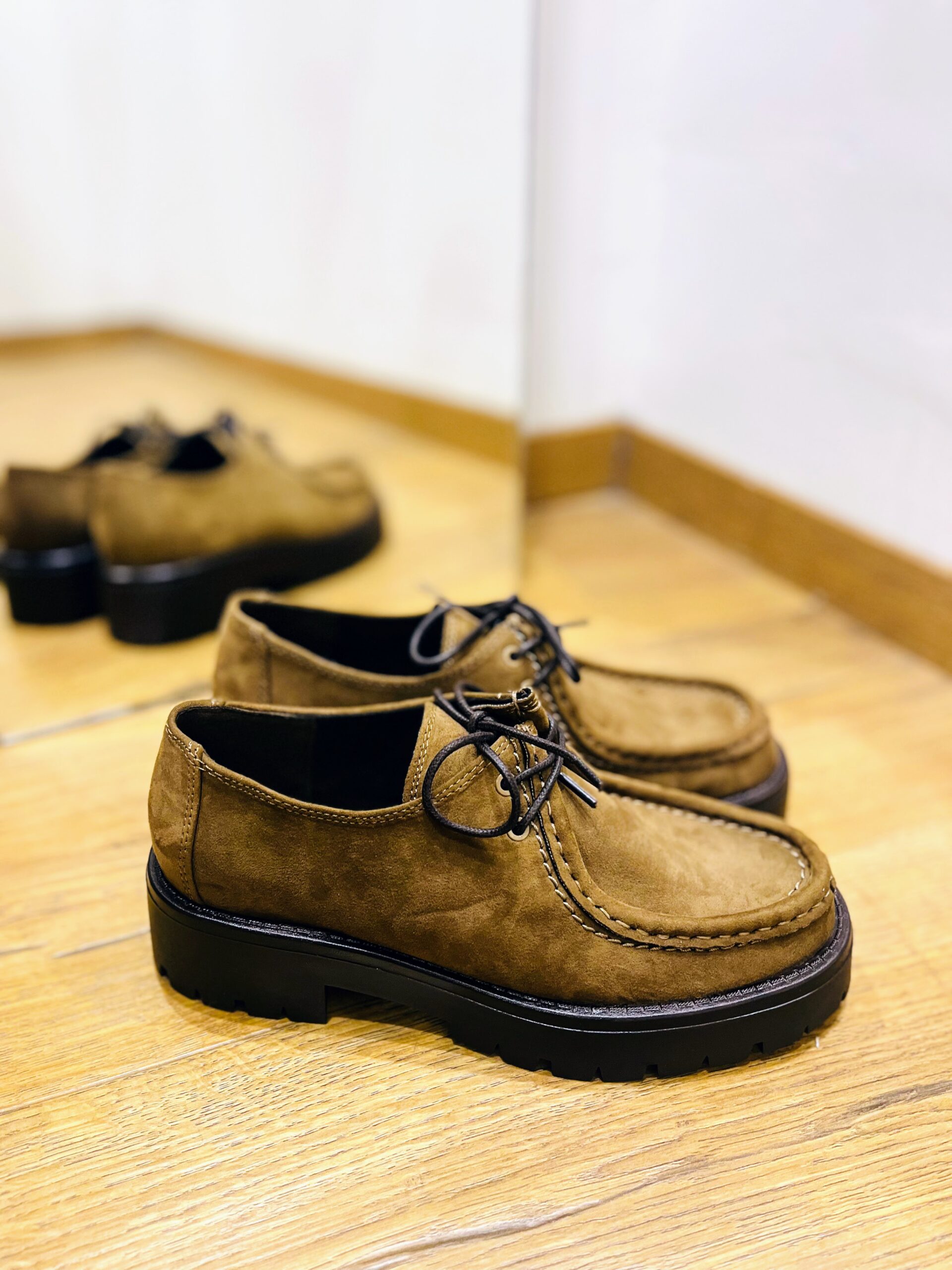 Derbies camel CORINA